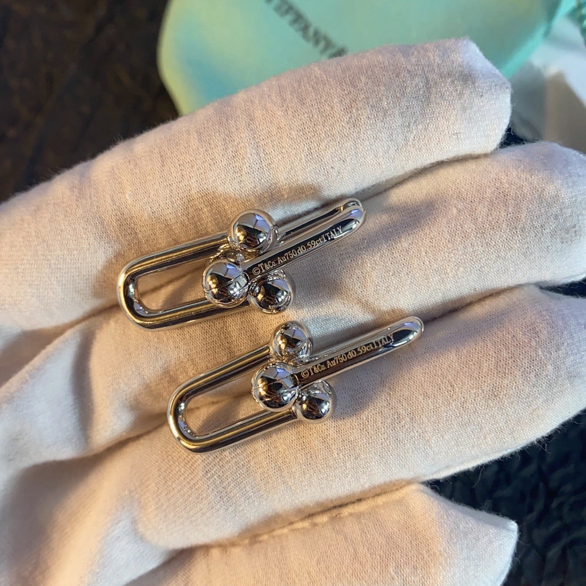 [Dream ] TF U-shaped earrings